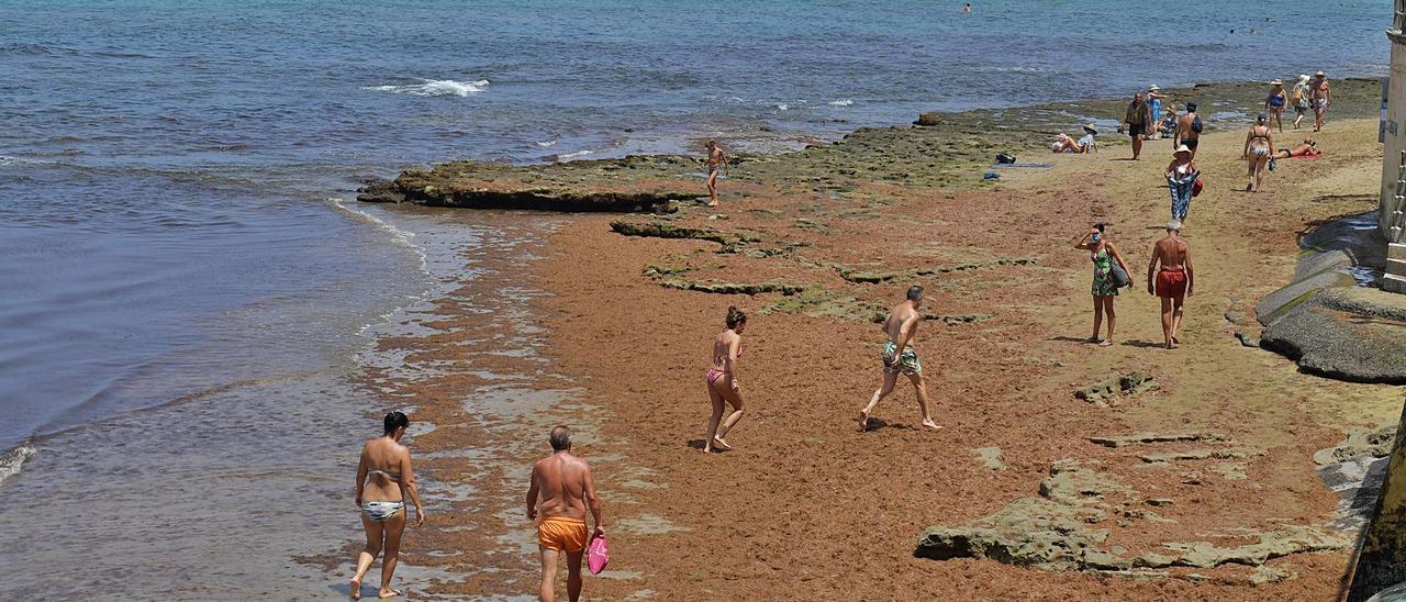 Entrada a Playa Chica, en Las Canteras, donde se ha producido la mayor acumulación de sebas en los últimos días. | |