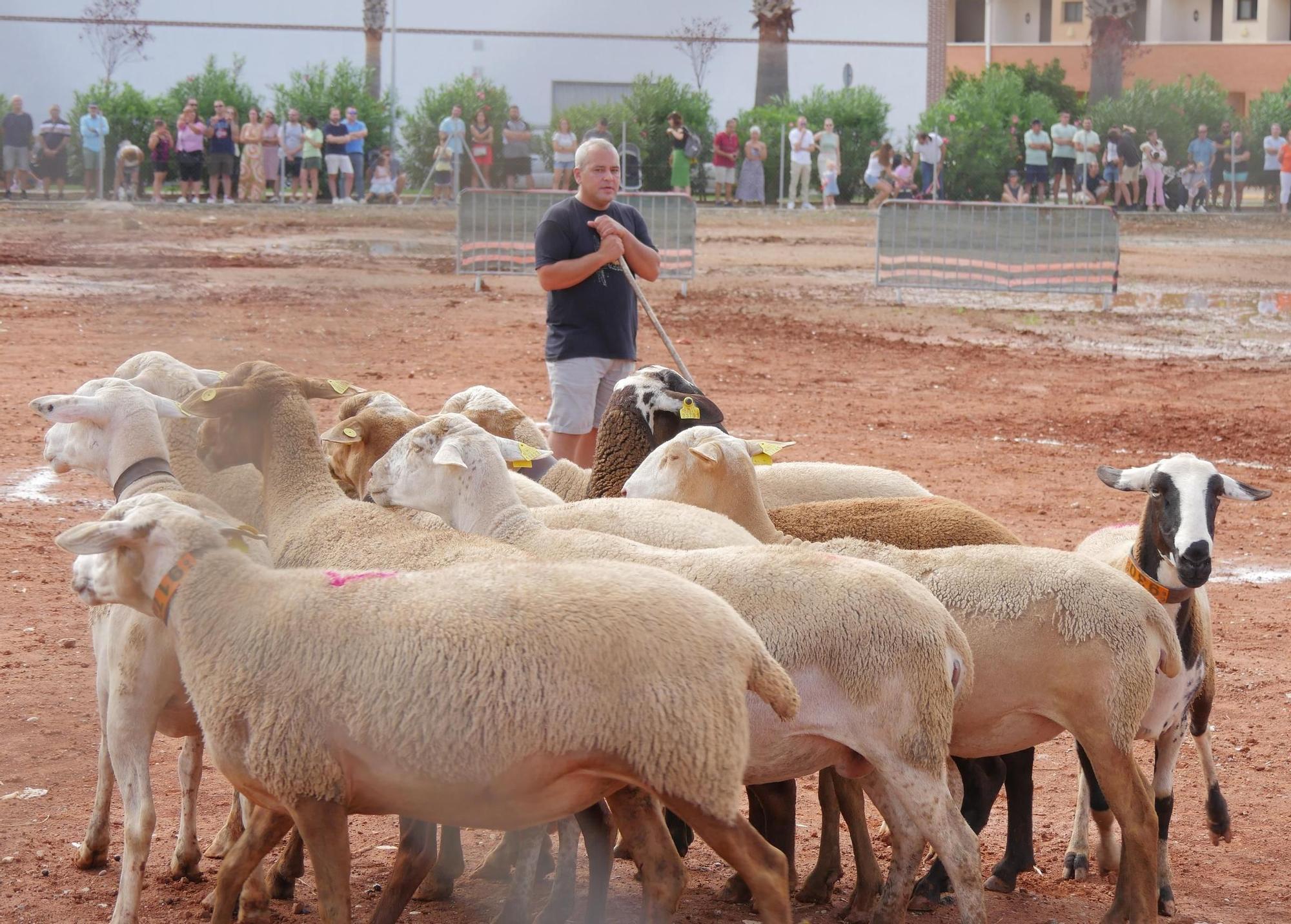 La Fira Agrícola de Nules, en imágenes