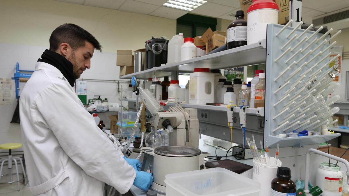 Un investigador de la UCO trabaja en el edificio Marie Curie, en el campus de Rabanales.