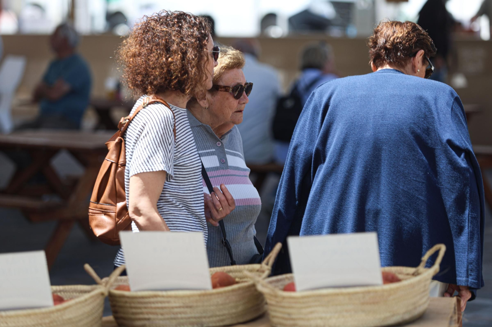Mira aquí todas las fotos de la feria de la patata ibicenca