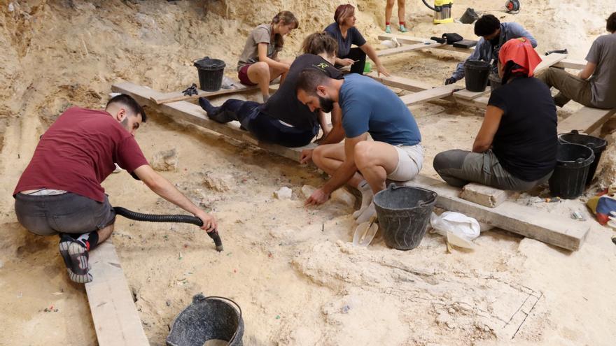 Les excavacions a l&#039;Abric Romaní recuperen un miler de restes entre eines de pedra, restes de cérvol i fogars