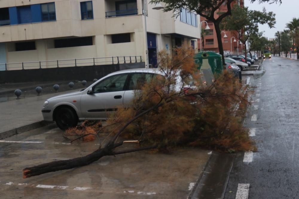 Las incidencias de la borrasca Ana en Málaga