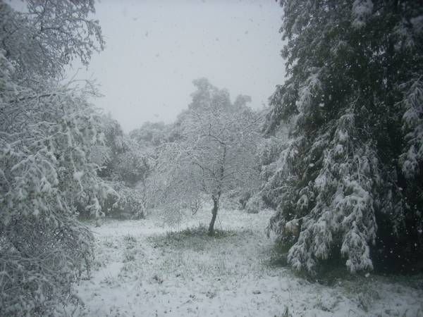 Las fotos de los cordobeses en la nieve