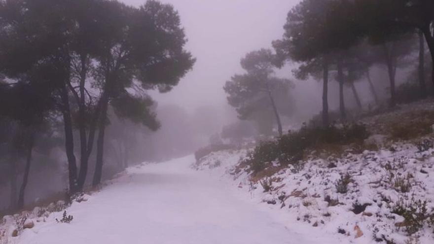 La nieve también cuajó el pasado fin de semana en el Monte Coto de Monóvar.