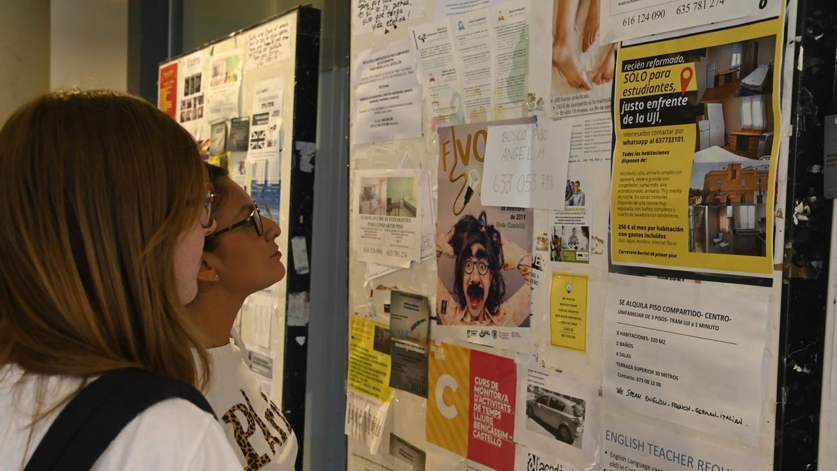 Estudiantes en la Universitat Jaume I de Castellón observan anuncios de pisos de alquiler.