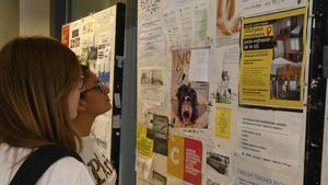 El 40% dels habitatges d’estudiants es lloguen abans del setembre