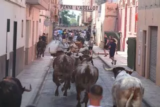 Las fotos del encierro de toros de La Campana en las fiestas de Vila-real