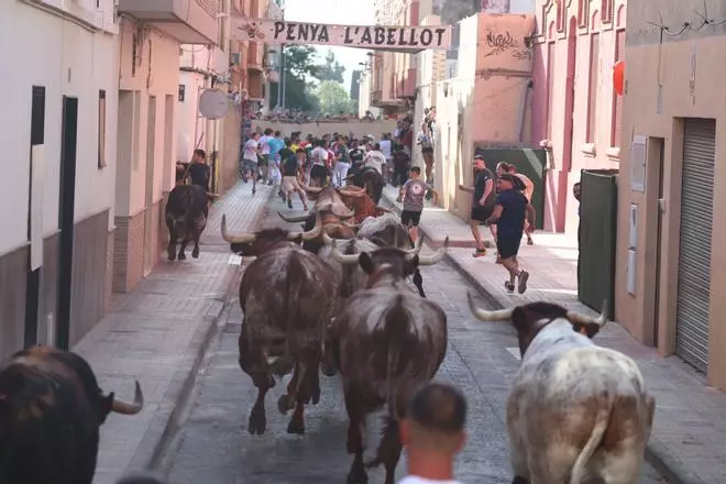 Las fotos del encierro de toros de La Campana en las fiestas de Vila-real