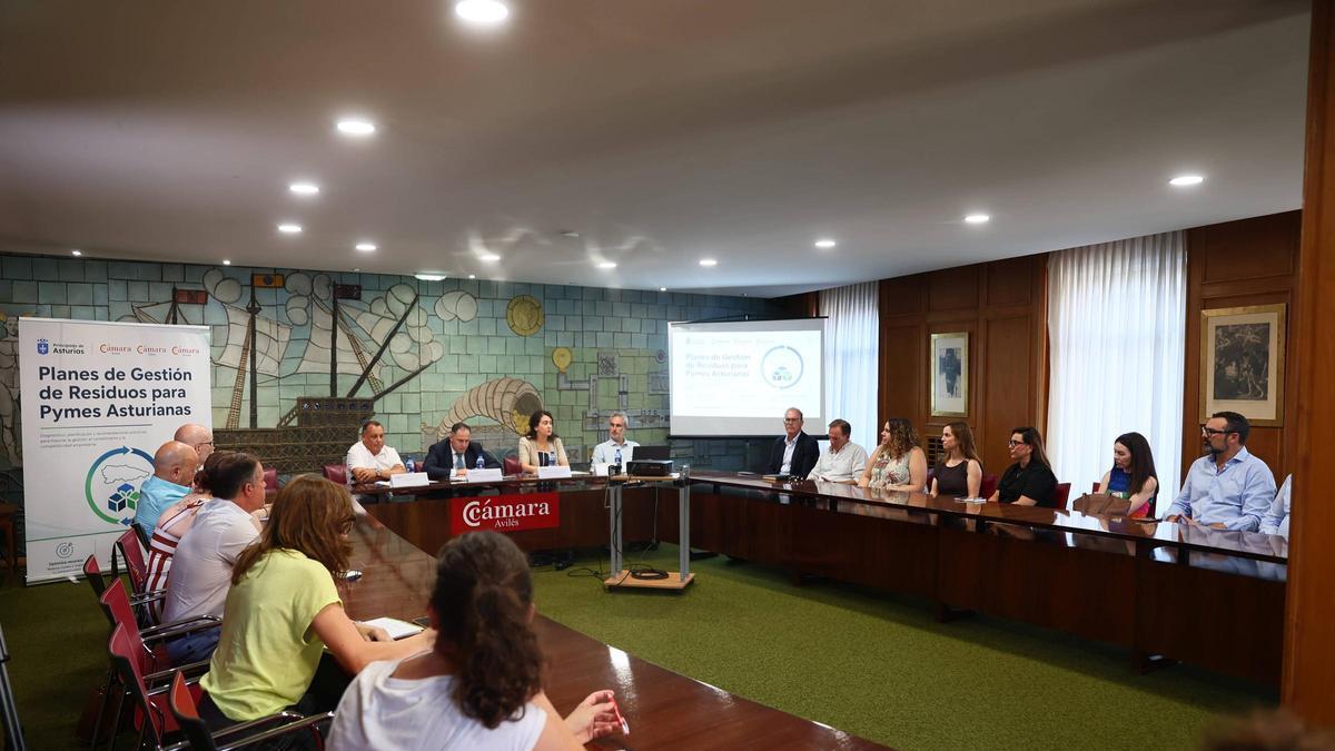 Proyecto de Sensibilización en Sostenibilidad para pequeñas y medianas empresas, este miércoles, en la Cámara de Comercio.