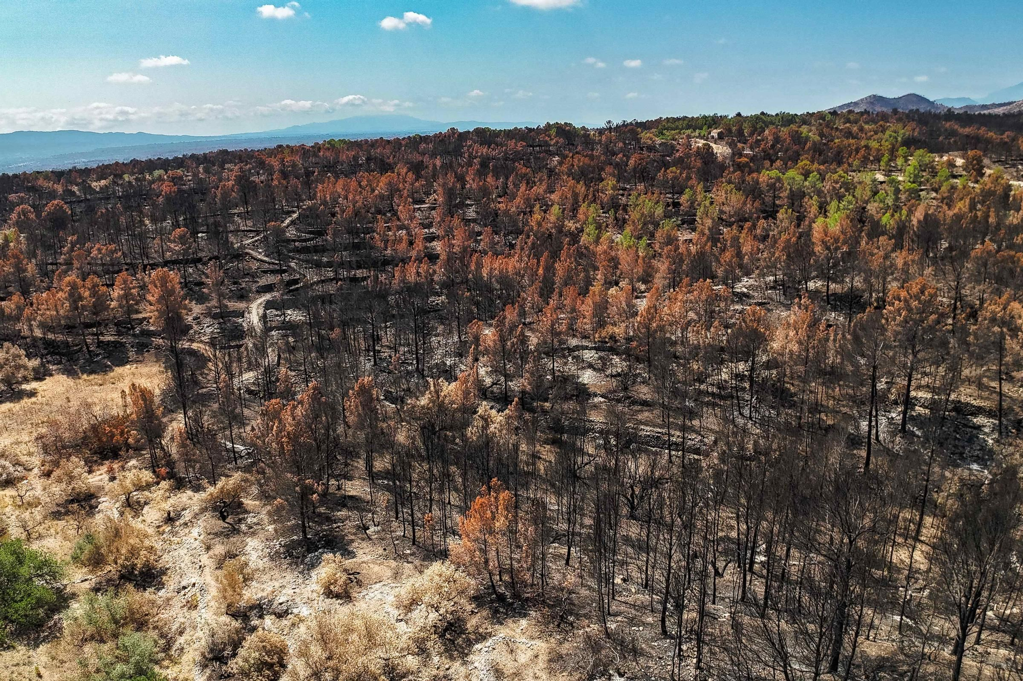 Les fotos de l'incendi de Paüls a vista de dron