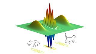 Revuelo en el zoo cuántico: consiguen domar al gato de Schrödinger
