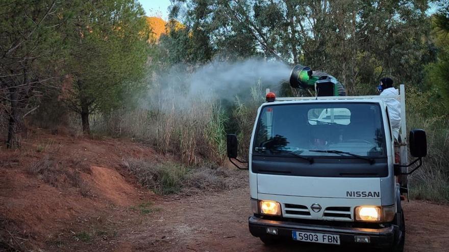 Málaga inicia los tratamientos contra la procesionaria del pino