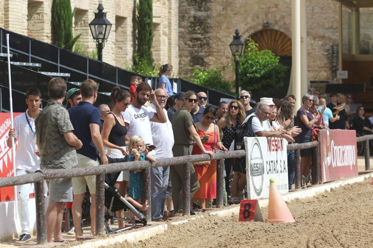 4º Concurso Internacional de Atalaje de Tradición en Cabalcor 2018