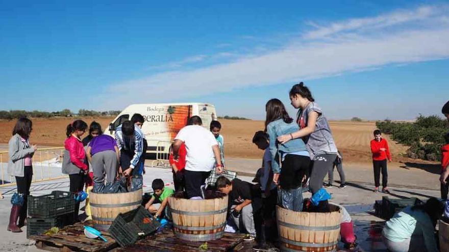 Alumnos pisan por parejas el fruto recolectado en los viñedos de Liberalia para obtener el mosto. Foto