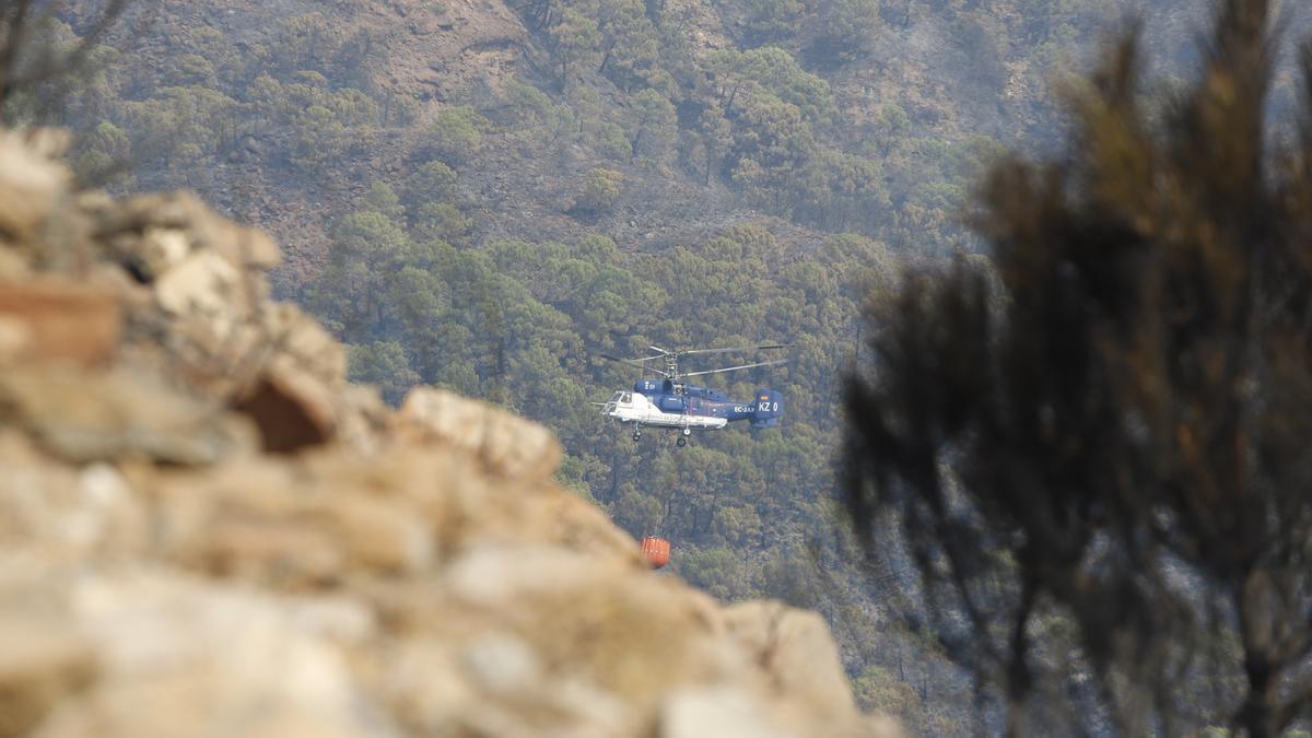 Un incendio en Sierra Bermeja provoca el desalojo de un millar personas en Estepona, Jubrique y Genalguacil