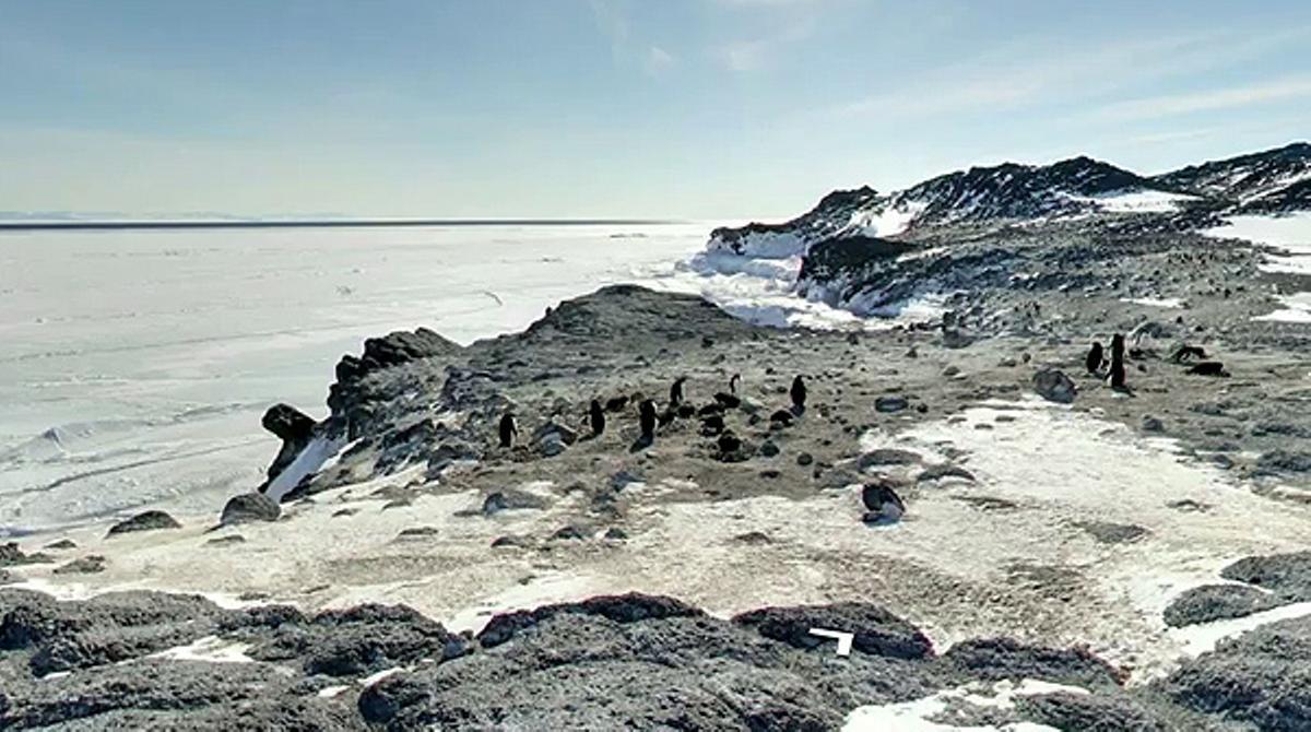 Recorregut pels nous racons de l’Antàrtida que Google Street View permet explorar. / GOOGLE