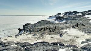 Recorregut pels nous racons de l’Antàrtida que Google Street View permet explorar. / GOOGLE