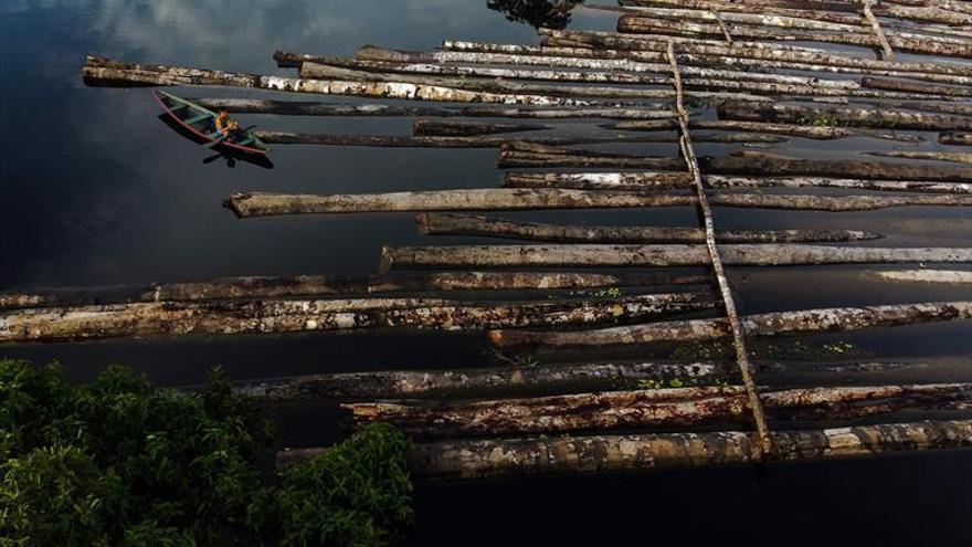 La Amazonia acelera su deforestación este 2020