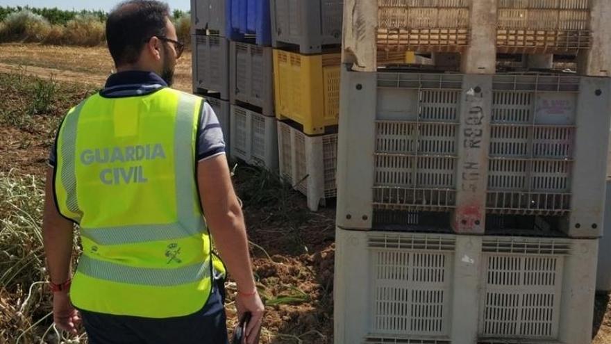 La Guardia Civil intensifica los controles en la campaña de aceituna