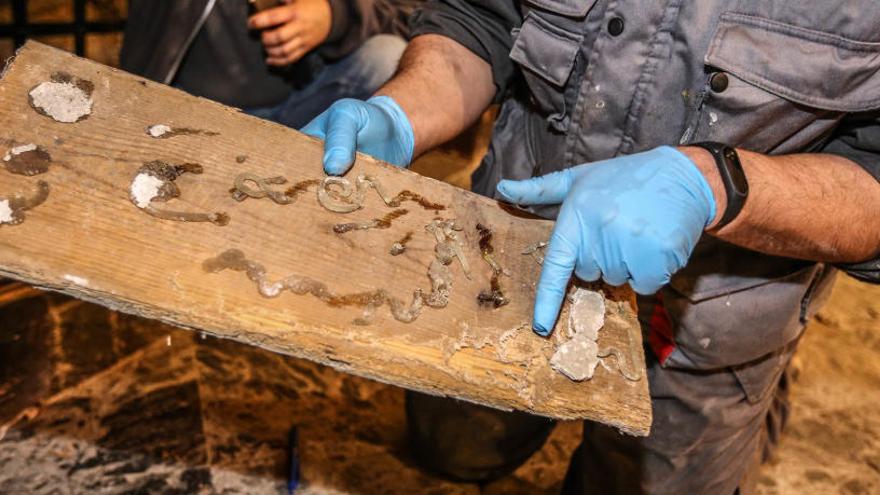Otra plaga de termitas en el Santuario de Monserrate obliga a invertir 17.000 euros