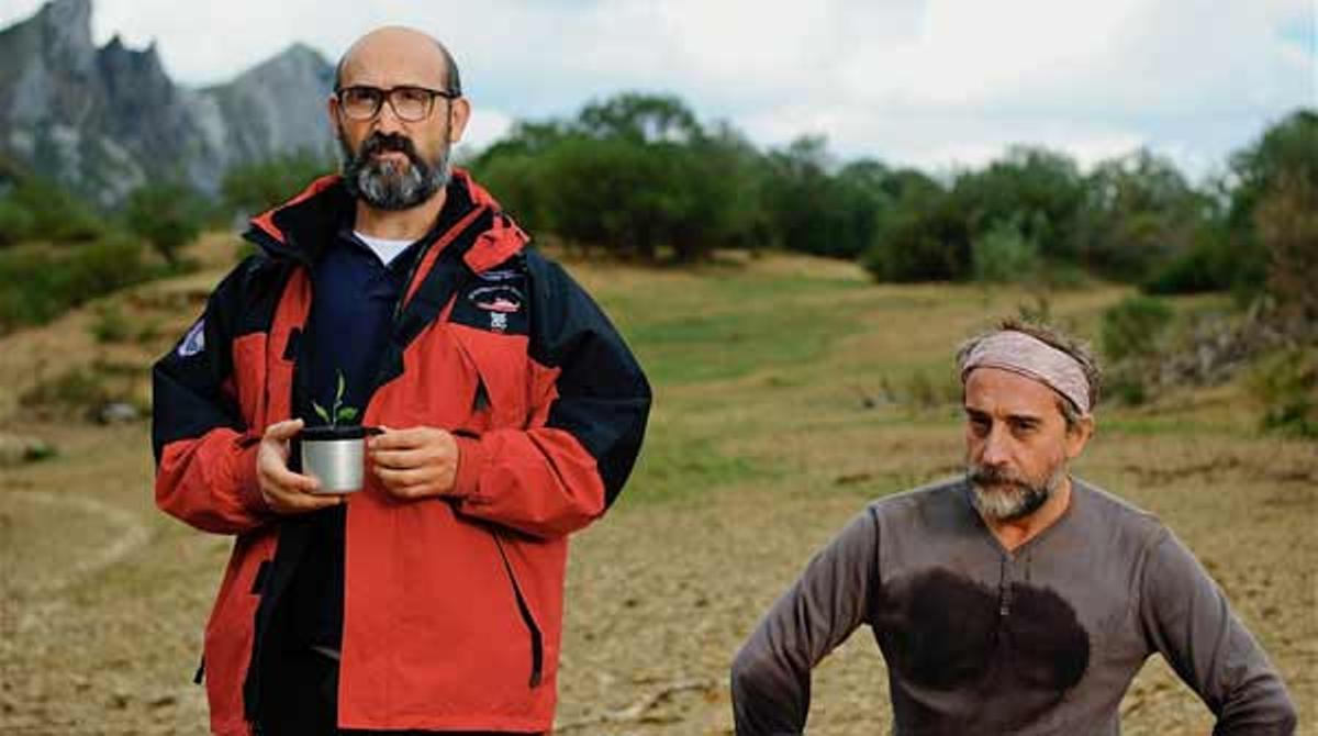Tràiler de ’¿Para qué sirve un oso?’.