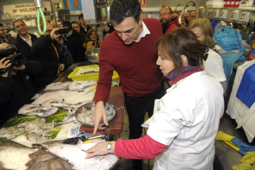 El secretario general del PSOE, Pedro Sánchez, ha visitado hoy la ciudad de A Coruña. En compañía de José Ramón Gómez Besteiro, el líder socialista se ha dejado fotografiar por las calles herculinas.