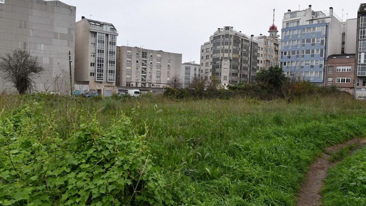Una de las fincas de O Castrillón donde se levantarán edificios entre el Parque de Oza y O Castrillón. |  LOC