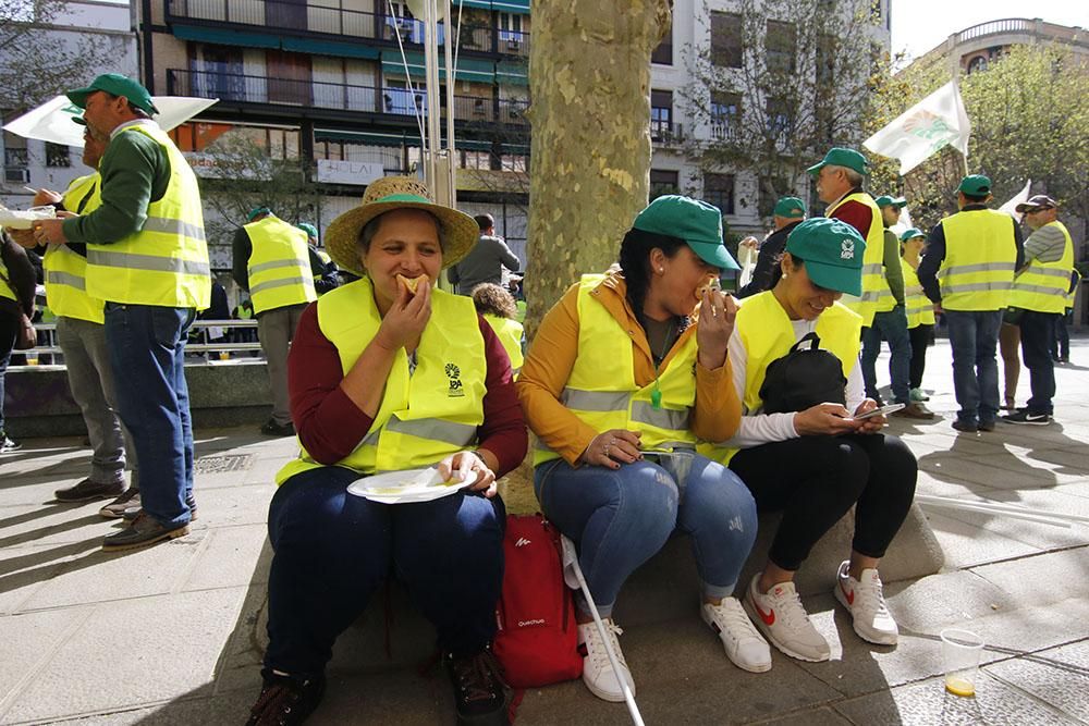 Protesta de los agricultores por los bajos precios del aceite