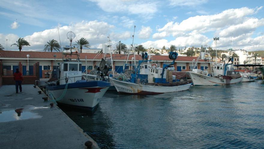 Barcos pesqueros amarrados en el puerto de Caleta de Vélez.