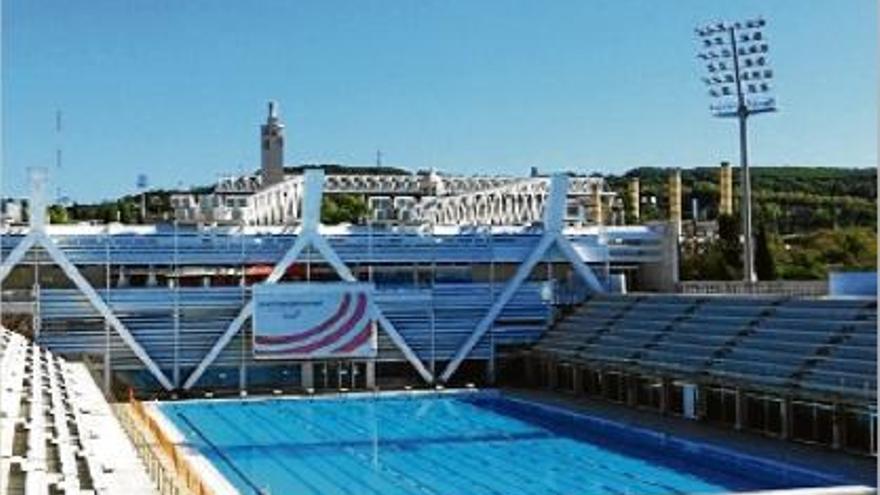 Les piscines Bernat Picornell seran la seu que acollirà l&#039;europeu de waterpolo de l&#039;any 2018