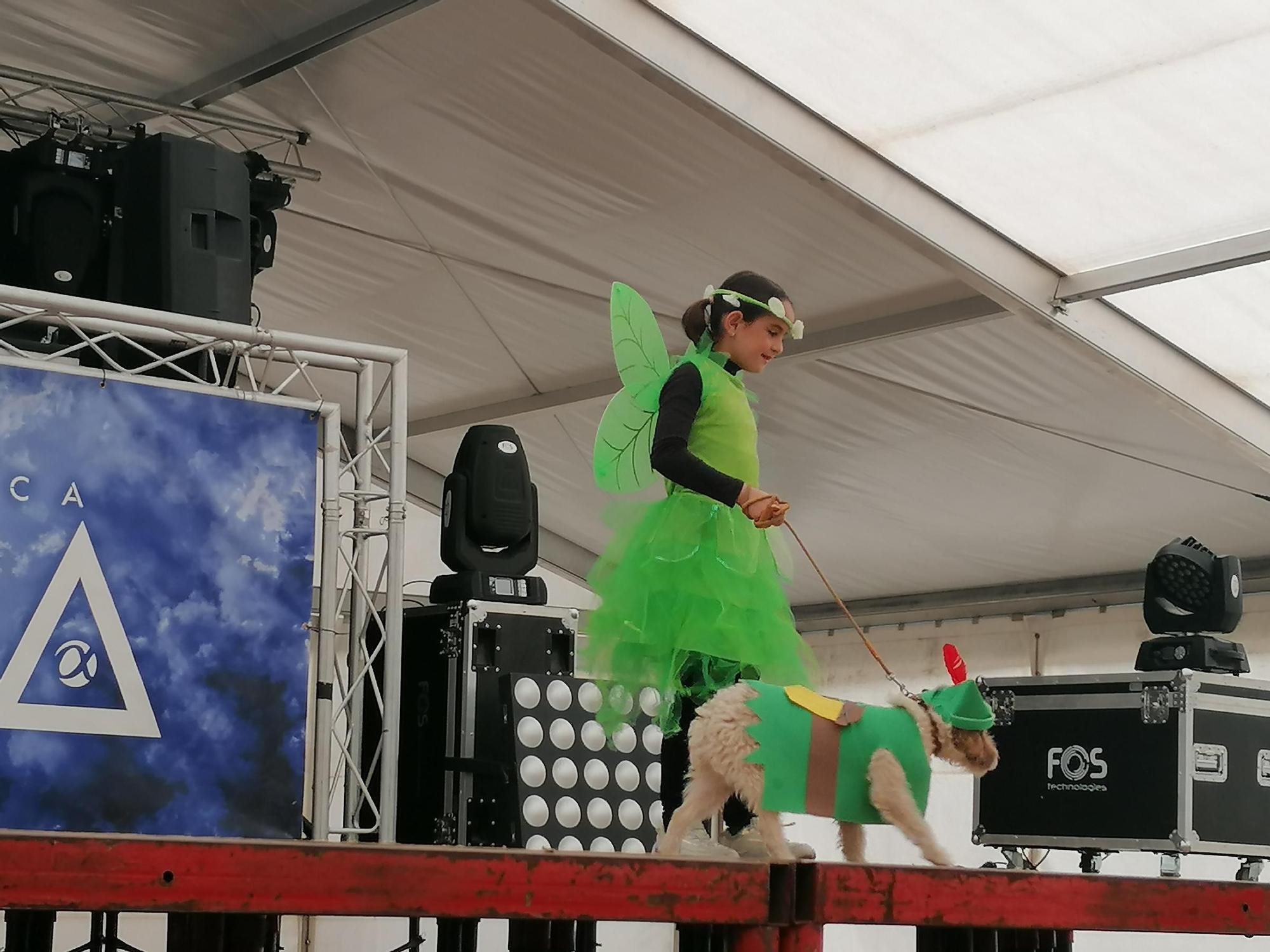 GALERÍA | Los animales se suman a la fiesta en el Carnaval de Toro