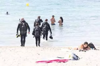 Mira todas las imágenes de la limpieza en ses Figueretes