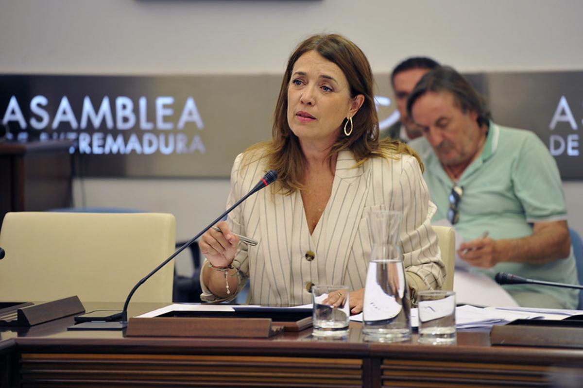 La directora general de Trabajo de la Junta, Pilar Bueno, en el transcurso de la Comisión de Economía, Empleo y Transformación Digital de la Asamblea.