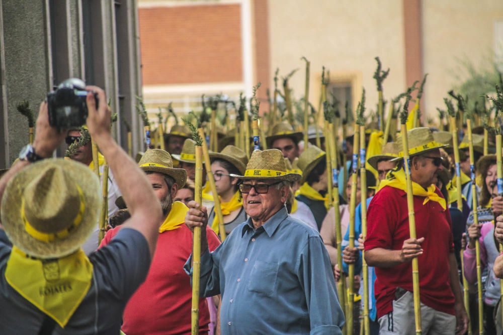 Romería en Rojales