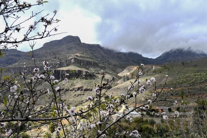 GRAN CANARIA 26-01-2019  SANTA LUCIA DE TIRAJANA-SAN BARTOLOME DE TIRAJANA. Fotos al macizo de Amurga. Fotos a los terrenos de la familia de Román comprados por el Cabildo.  FOTOS: JUAN CASTRO