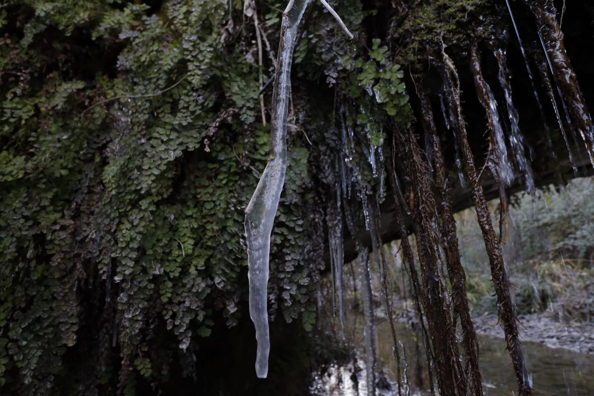 Mañana de frío y hielo en la sierra de Mariola Mañana de frío y hielo en la sierra de Mariola