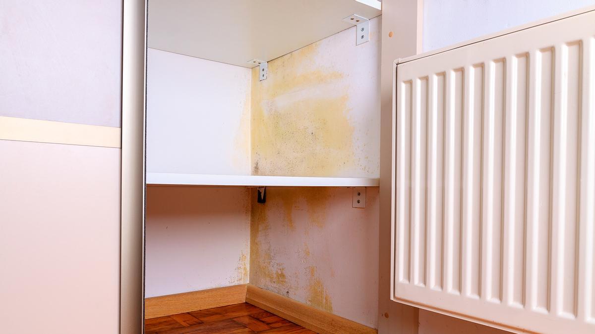 Cómo quitar la humedad y el mal olor de un armario empotrado? - Humetek