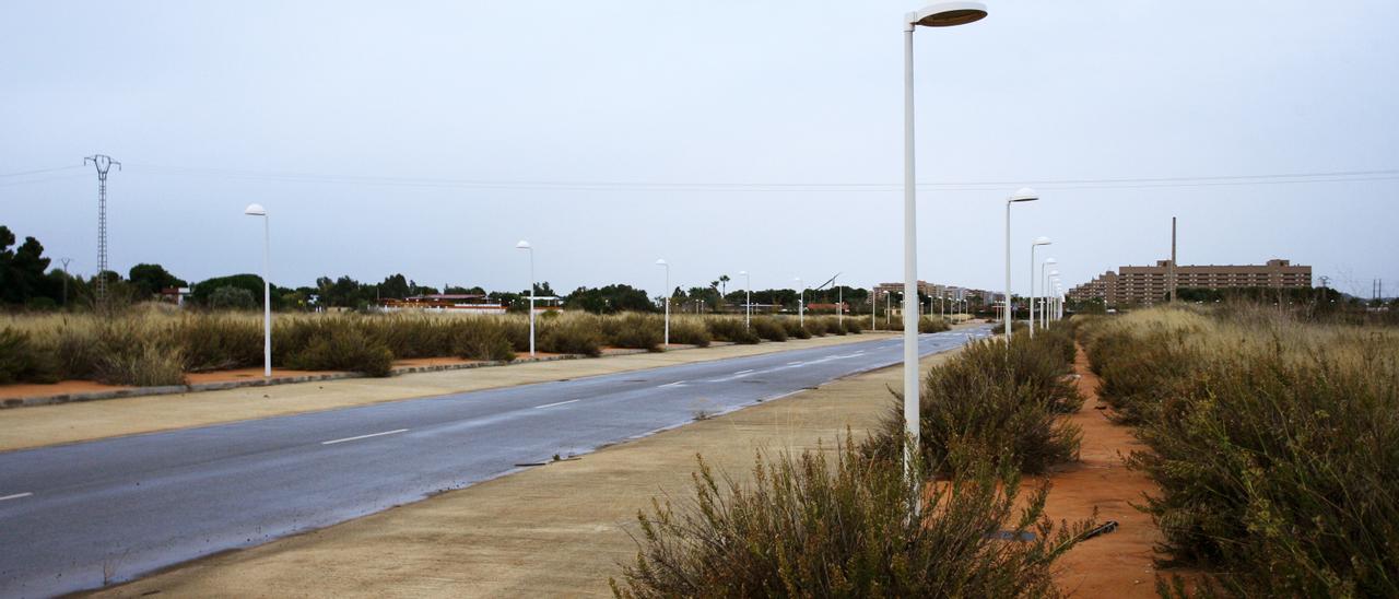 Imagen de la avenida central del PAI, en la que los matorrales ganan cada vez más terreno a las aceras.