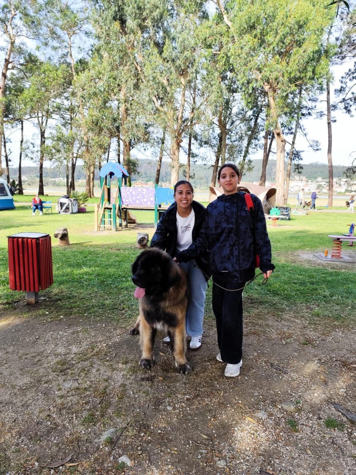 Asistentes al Campeonato Nacional Canino de la isla de A Toxa.