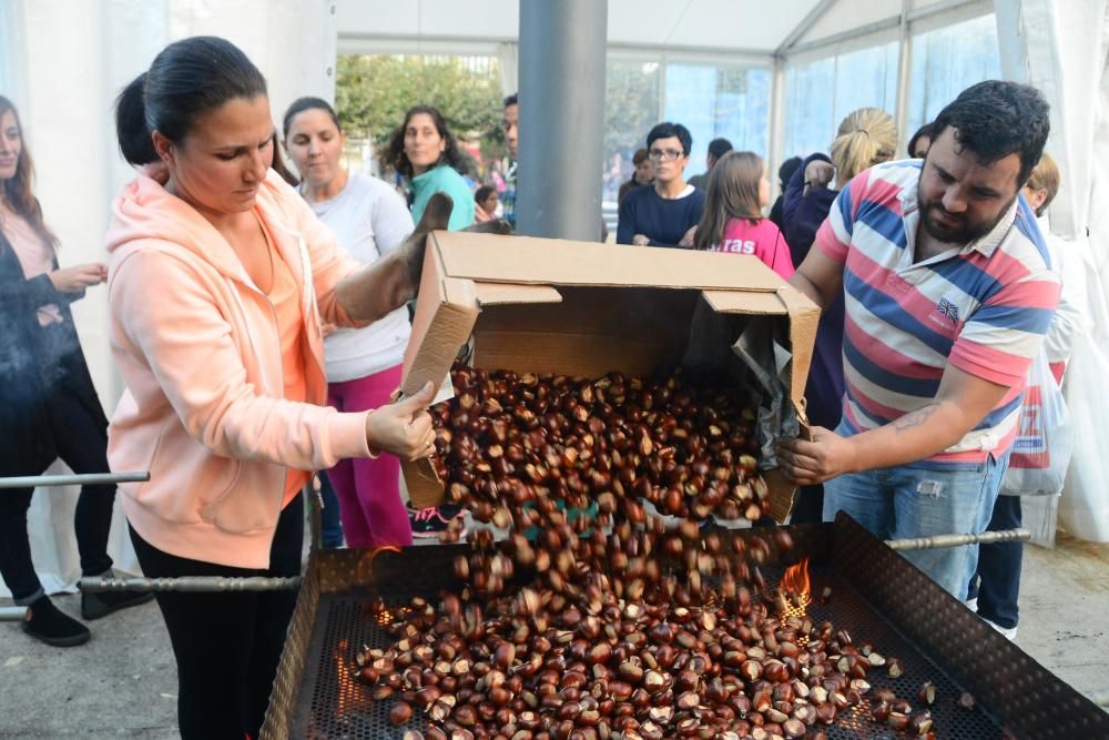 San Martiño arranca en Bueu