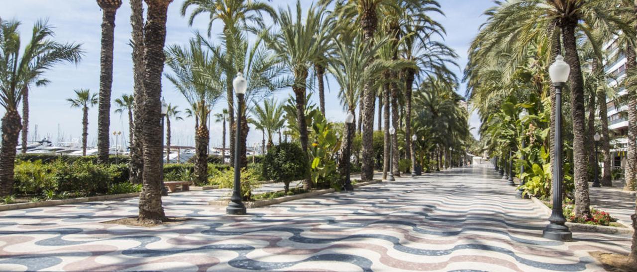 Alicante ofrece visitas guiadas gratuitas por la ciudad como atractivo turístico para reactivar el sector