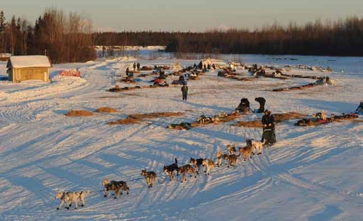 Imatge d’una carrera de gossos a Alaska. Imatge d’una carrera de gossos a Alaska.