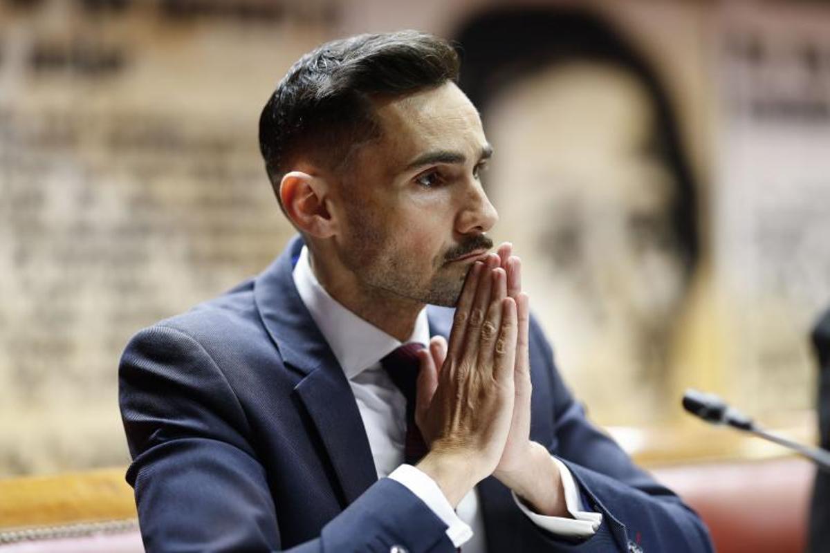 Rafael Pérez, secretario de Estado de Seguridad, en el Senado este viernes.