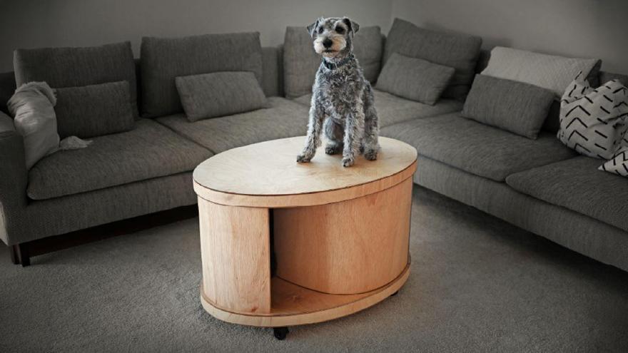 Desde una caseta para perros que reduce el ruido a una ducha inteligente: estos son los productos que compiten por el premio al mejor diseño europeo