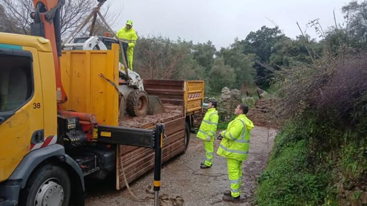 Operarios en labores de retirada de ramas y árboles.