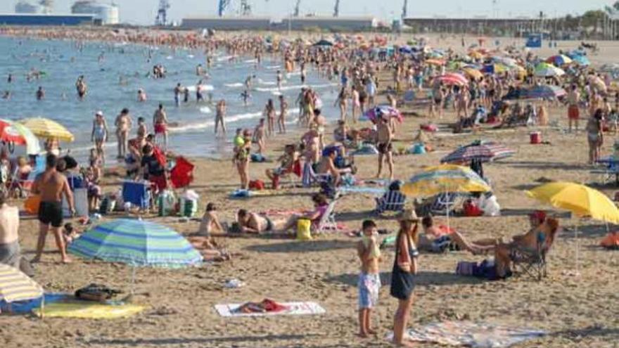 Las cremas solares tienen efectos tóxicos sobre la fauna marina