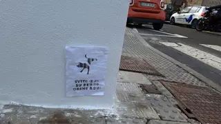 SOS de vecinos de Santa Cruz: denuncian una "situación insostenible" en Salamanca por los orines y excrementos de las mascotas