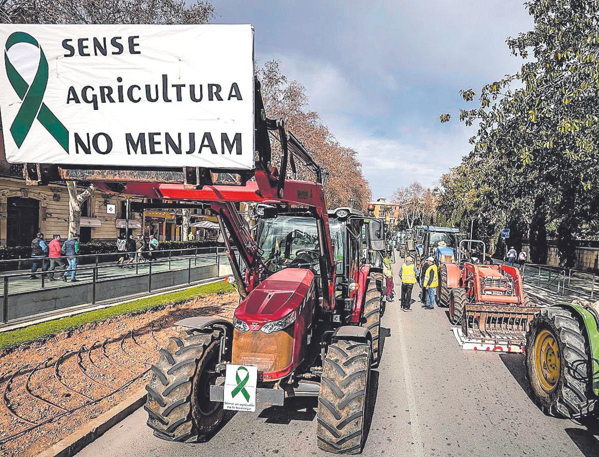 Imagen de la última gran tractorada en Palma.