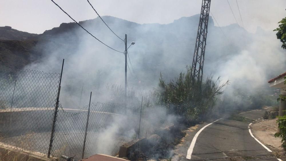 Incendio en Risco Blanco, San Bartolomé de Tirajana