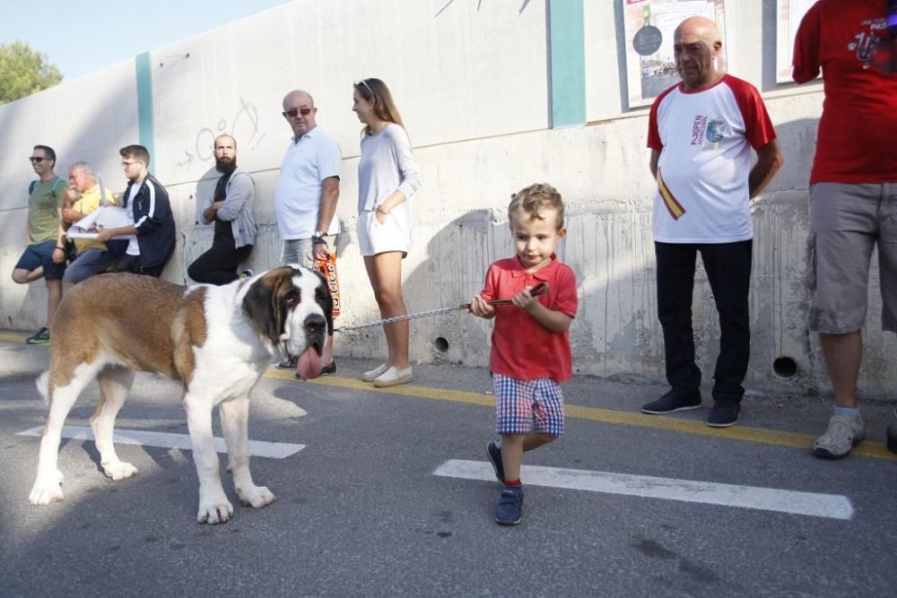 Carrera popular en nonduermas